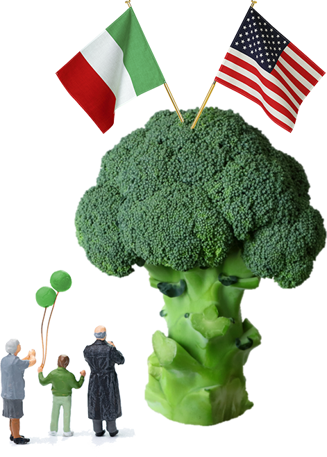 Broccoli image05