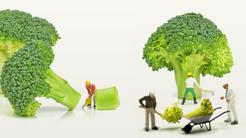 Broccoli nutrients